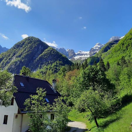 Apartment Pretner, Lepena Soča Buitenkant foto