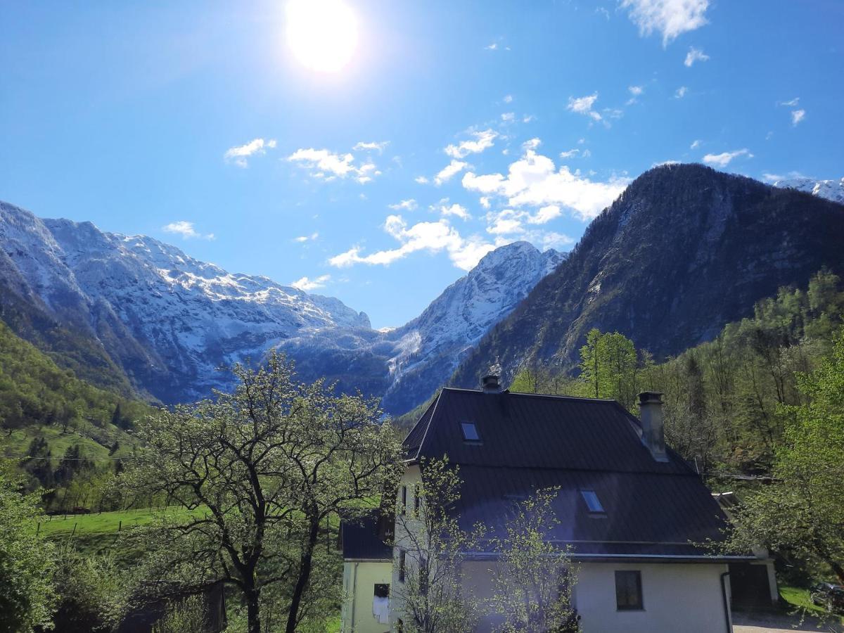 Apartment Pretner, Lepena Soča Buitenkant foto
