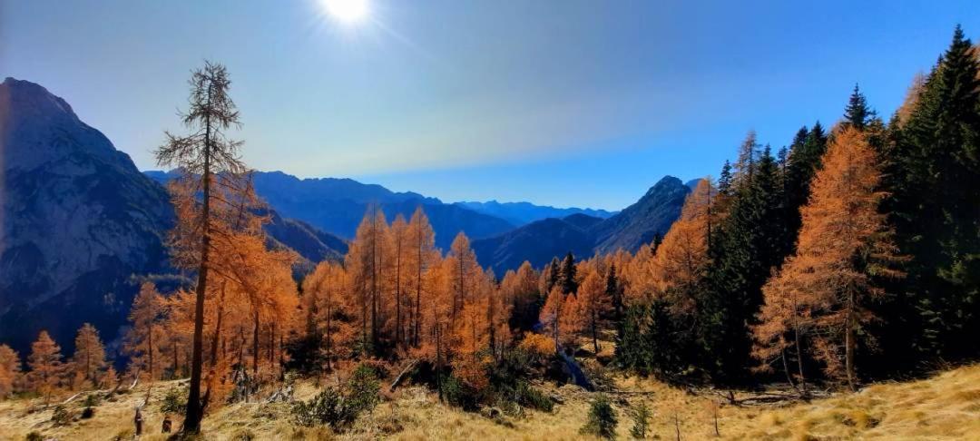 Apartment Pretner, Lepena Soča Buitenkant foto