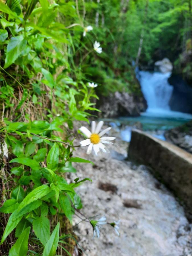 Apartment Pretner, Lepena Soča Buitenkant foto