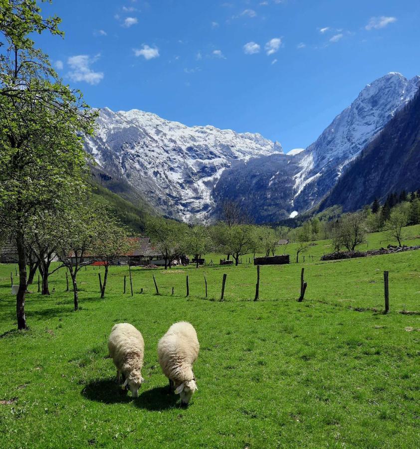 Apartment Pretner, Lepena Soča Buitenkant foto