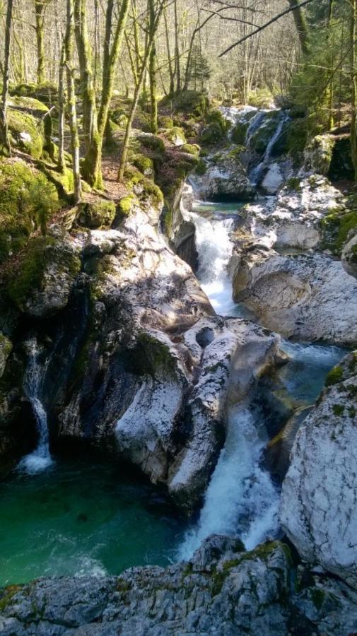 Apartment Pretner, Lepena Soča Buitenkant foto