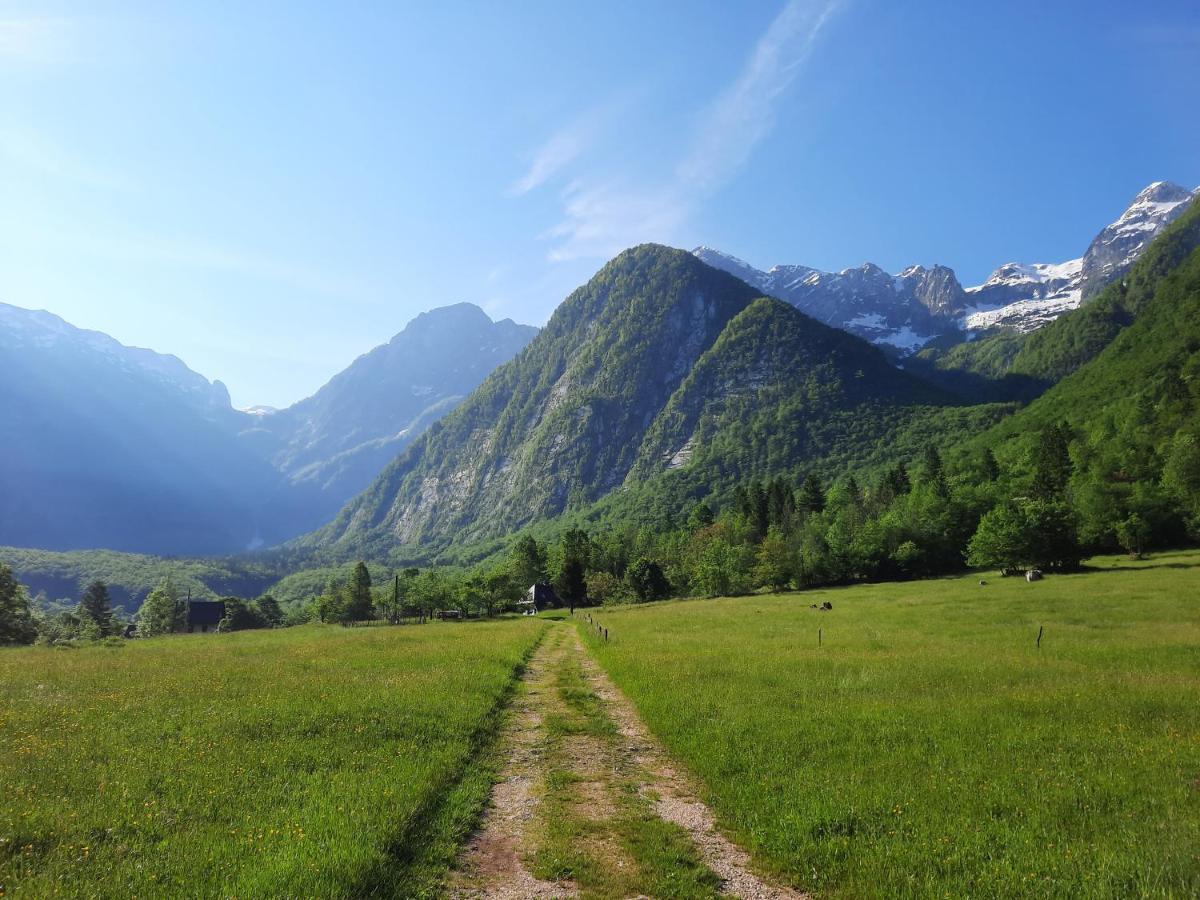 Apartment Pretner, Lepena Soča Buitenkant foto