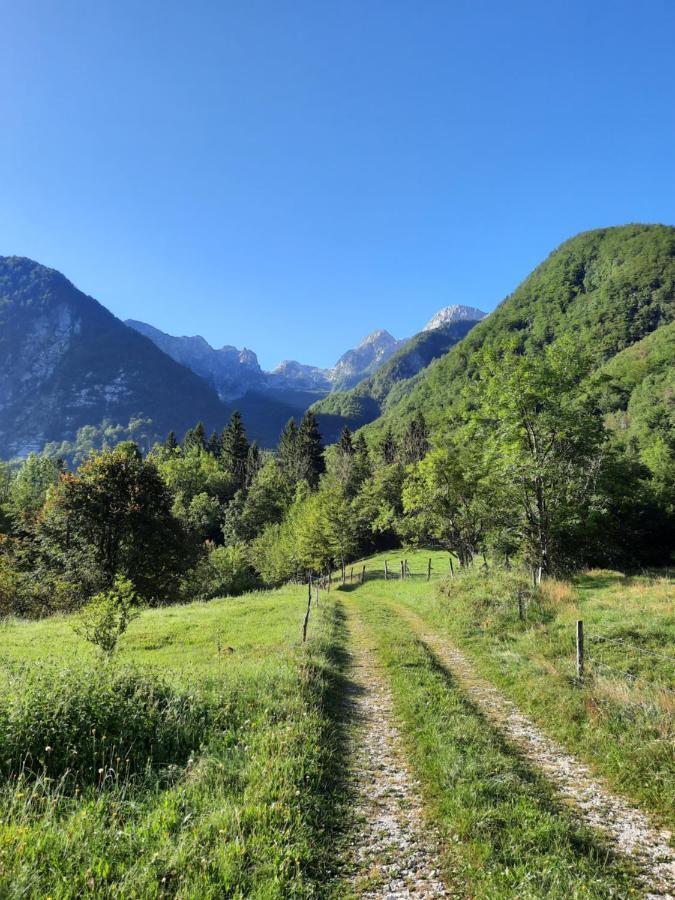 Apartment Pretner, Lepena Soča Buitenkant foto