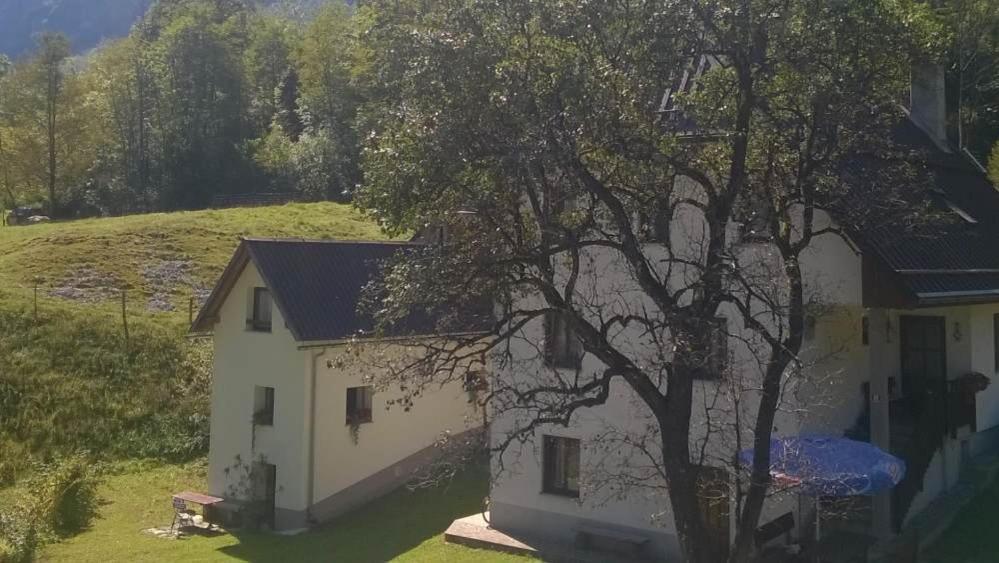 Apartment Pretner, Lepena Soča Buitenkant foto